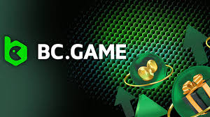 The Ultimate Guide to BC Sports Betting