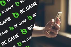 The Ultimate Guide to BC Sports Betting