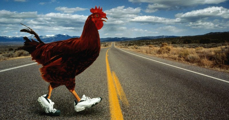 Chicken road - Descubre el Misterio de la Calle del Pollo en España Oficialmente Aprobada Chicken road - Descubre el Misterio de la Calle del Pollo en España Oficialmente Aprobada