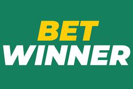 BetWinner Online Casino A Comprehensive Guide to Thrilling Gaming Experience