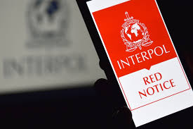 Understanding the Process of Interpol Red Notice Removal 1331853957